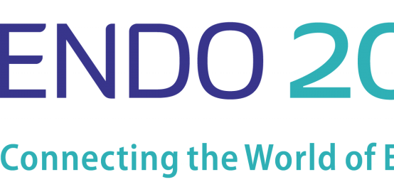ENDO-2024-Logo-1024×256.png